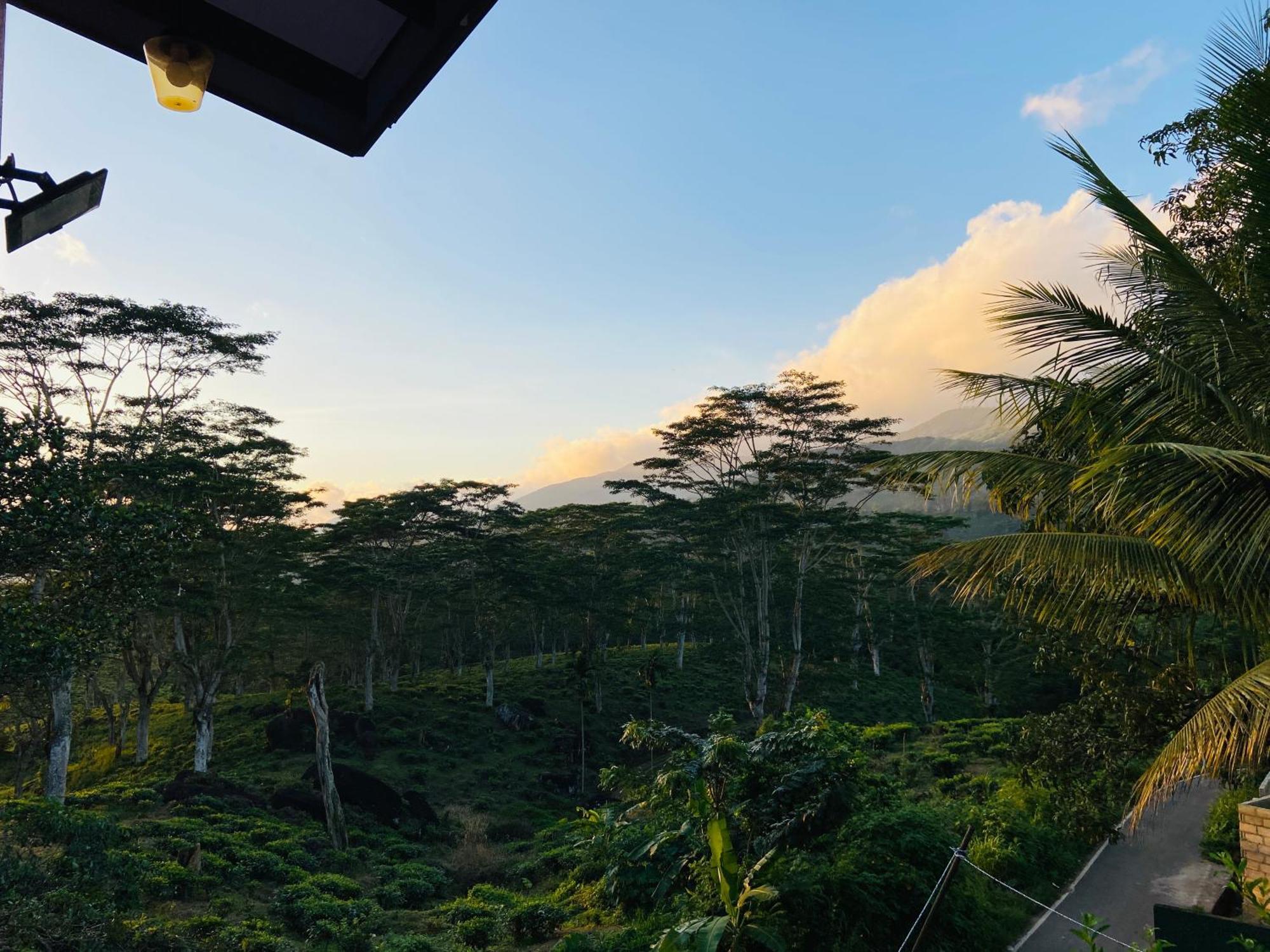 Sinharaja Heaven Lodge Deniyaya Dış mekan fotoğraf